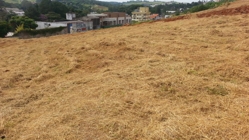 Procurando terrenos ou área grande a venda no Jardim do Sul em Bragança Pta ?