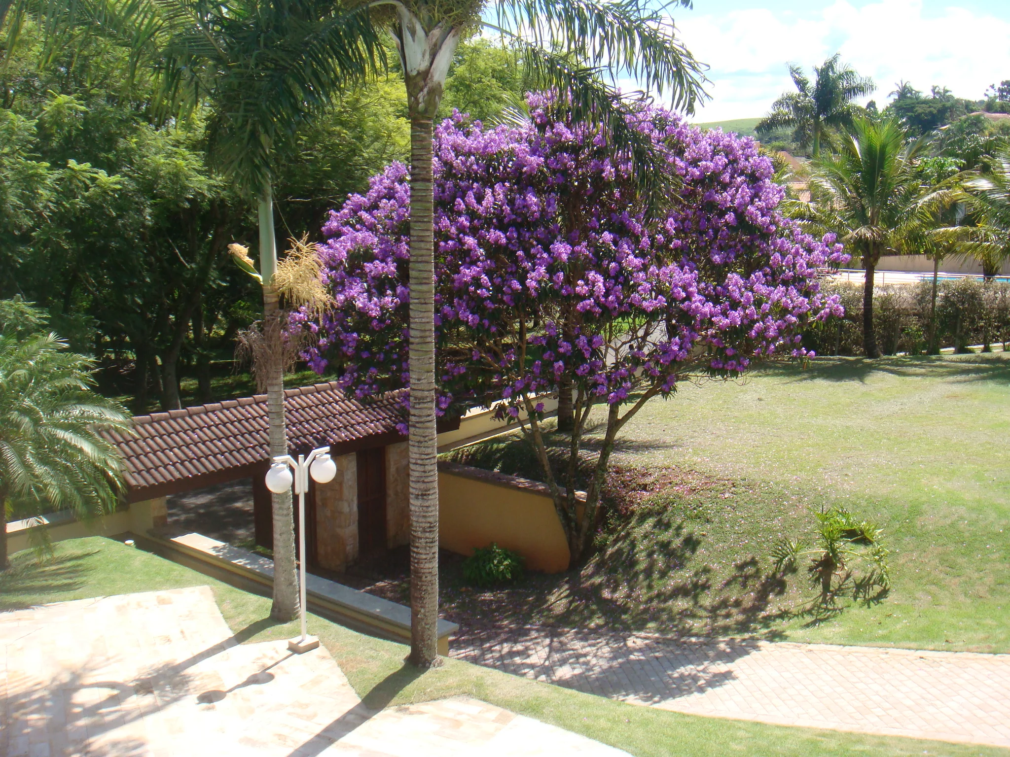 Deseja comprar uma casa a venda Village de Santa Helena ?