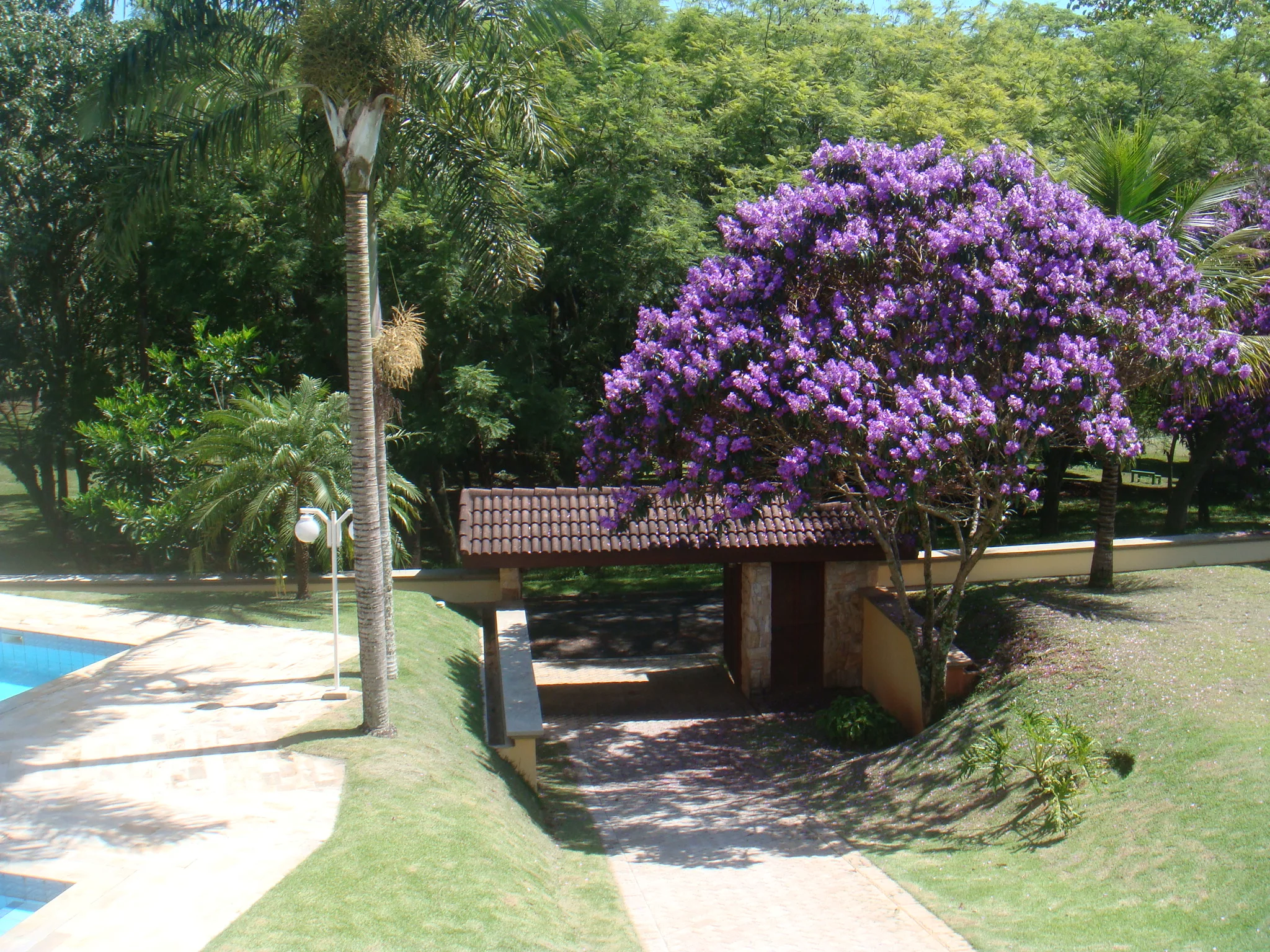 Deseja comprar uma casa a venda Village de Santa Helena ?