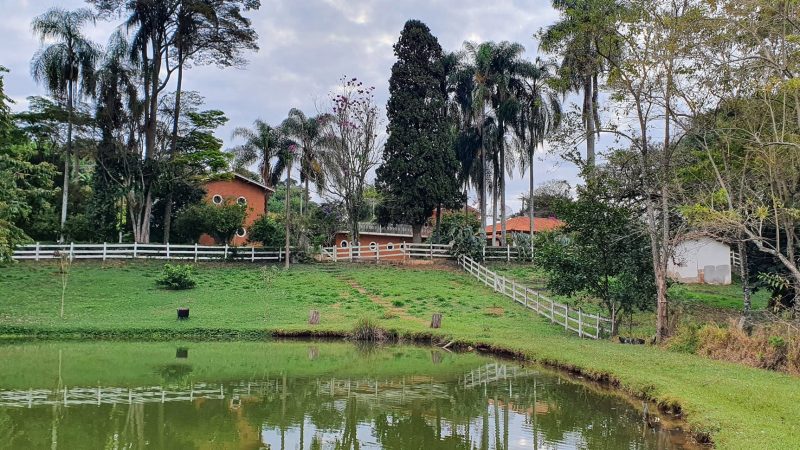 Corretor de imóveis Alexandre Bettoi sitio no Campo Novo