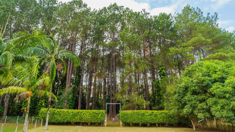 Corretor de imóveis Alexandre Bettoi Bragança Paulista| Casa à venda Jardim das Palmeiras