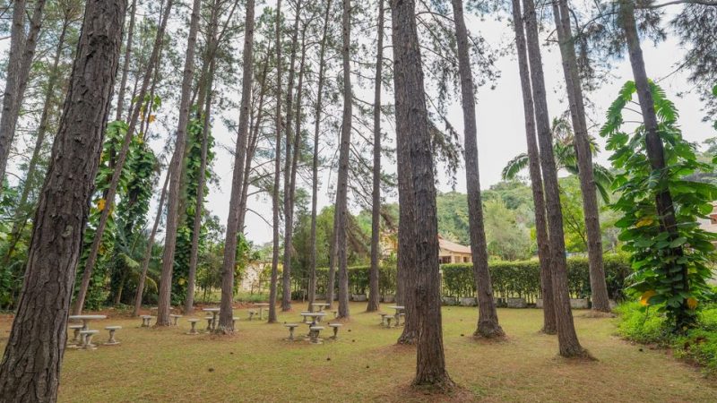 Corretor de imóveis Alexandre Bettoi Bragança Paulista| Casa à venda Jardim das Palmeiras