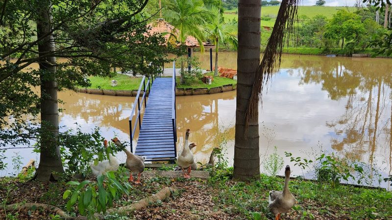 Sitio/Pousada à venda em Bragança Paulista