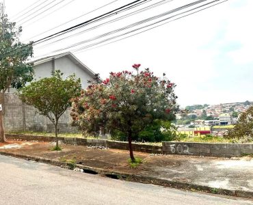 Terreno à venda jardim América 3