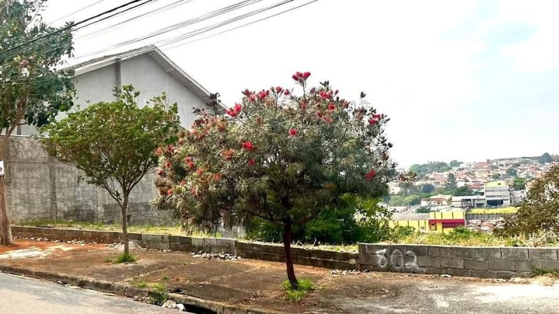 Terreno à venda jardim América 3